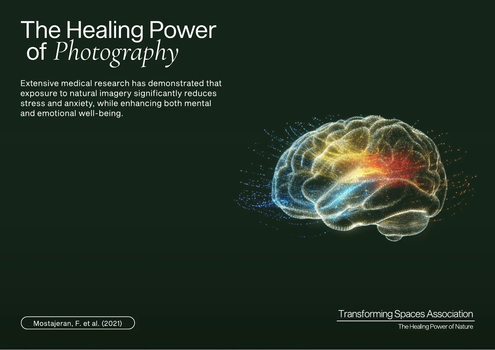 Page of the pitch deck on dark green with the heading The Healing Power of Photography, a short text on research into natural imagery, a source note in a small outlined pill, a glowing illustration of a brain in many colours and the logo at the bottom right.