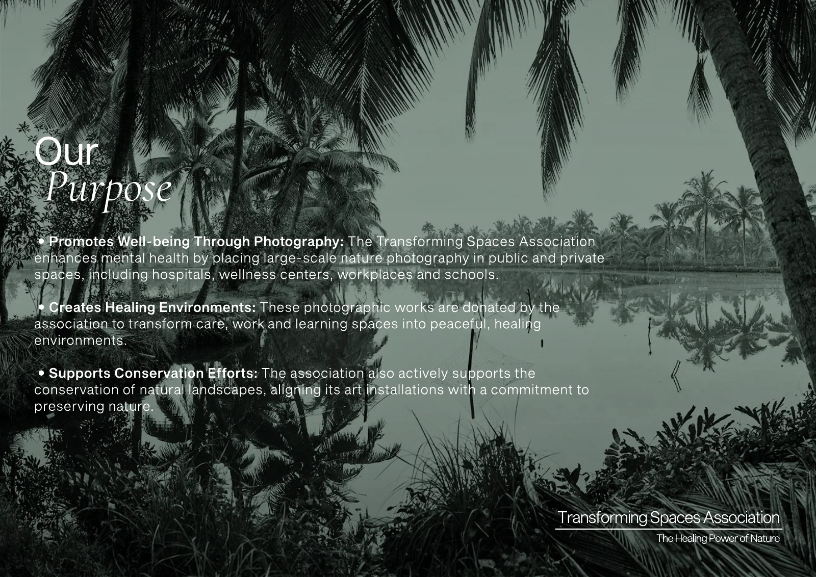 Page of the pitch deck: the heading Our Purpose and three short paragraphs in white on a grey green photograph of palm trees at a lake, with the logo at the bottom right.