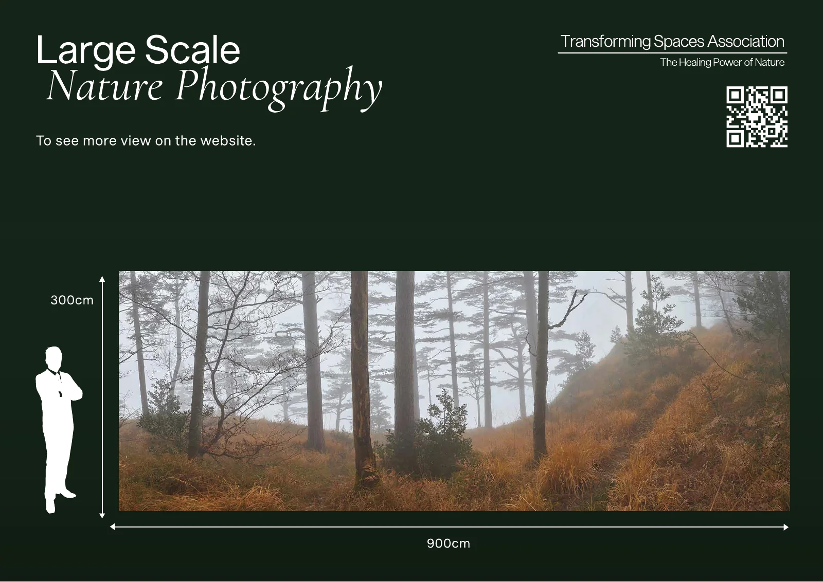 Page of the pitch deck on dark green with the heading Large Scale Nature Photography, the second line in serif italics. A white silhouette of a standing person is drawn beside a wide panorama of a misty forest, with dimension lines marked 300cm high and 900cm wide. The logo and a QR code are at the top right.