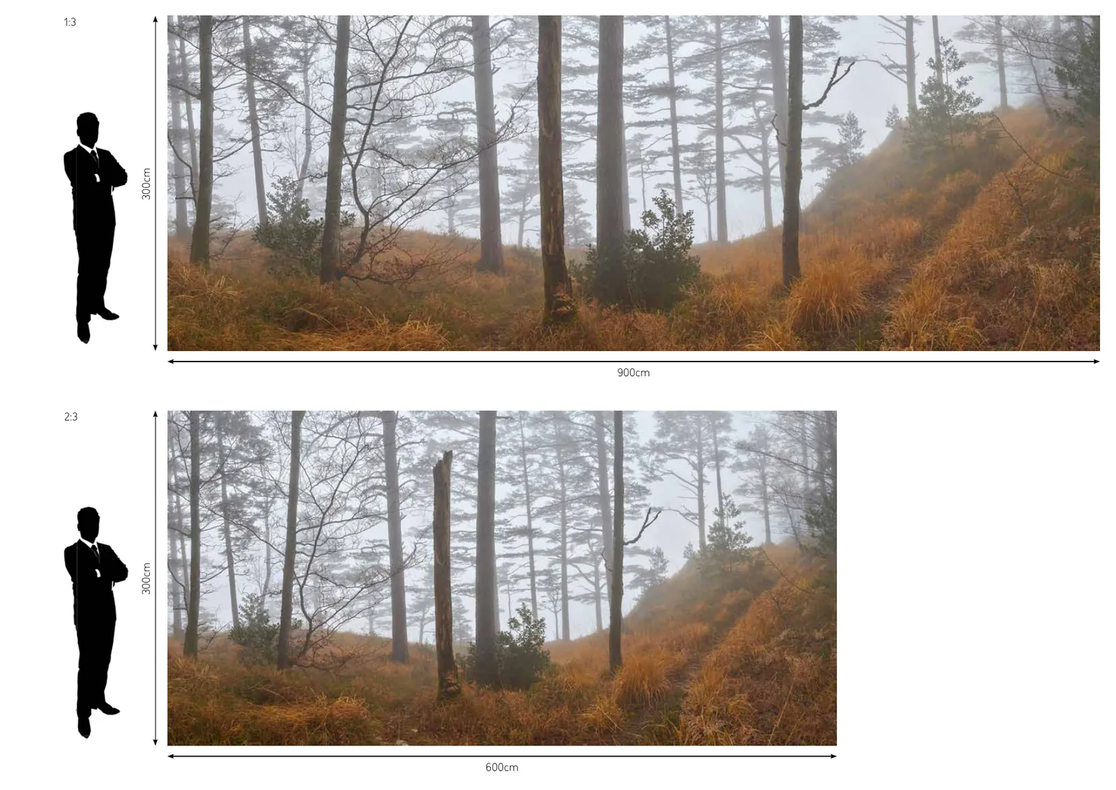 A catalogue page from the part called Visual: a black silhouette of a standing person beside a misty forest panorama, twice, with dimension lines marked 300cm by 900cm and 300cm by 600cm.
