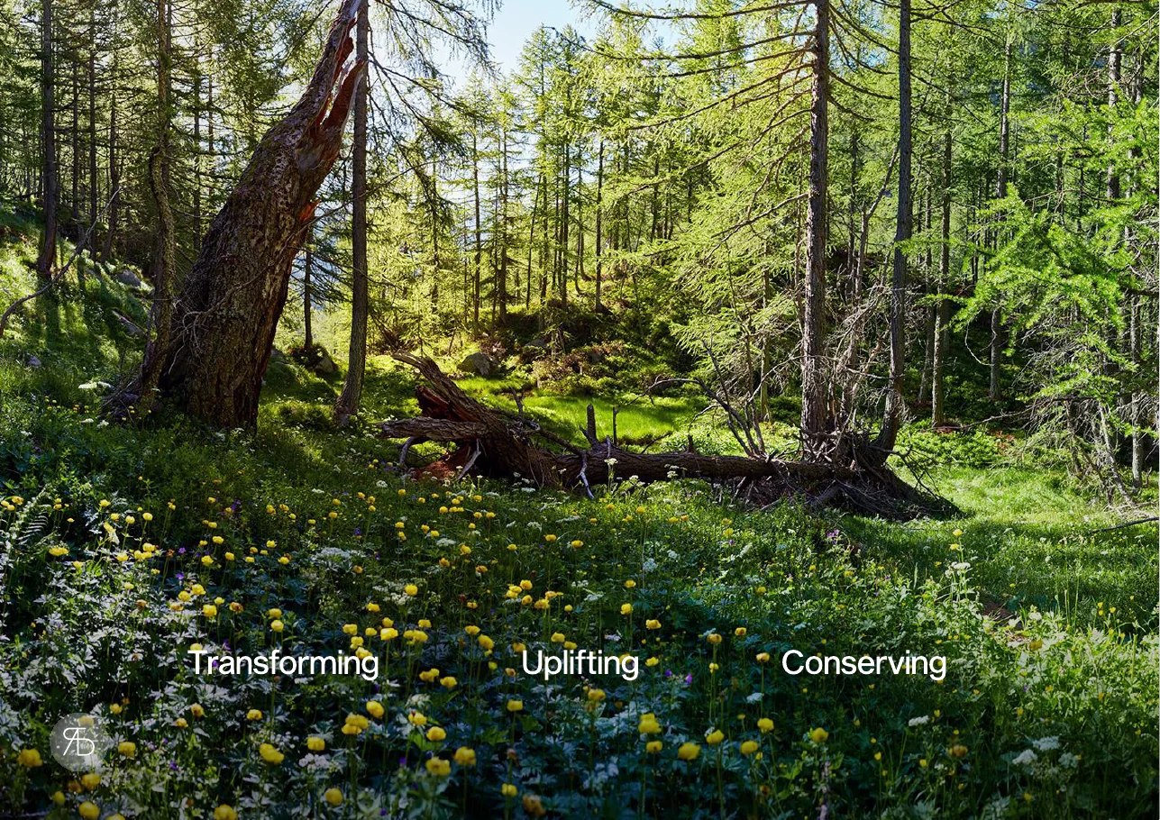 Page of the pitch deck: a photograph of a sunlit larch forest with yellow flowers and the three words Transforming, Uplifting and Conserving in a row near the bottom.