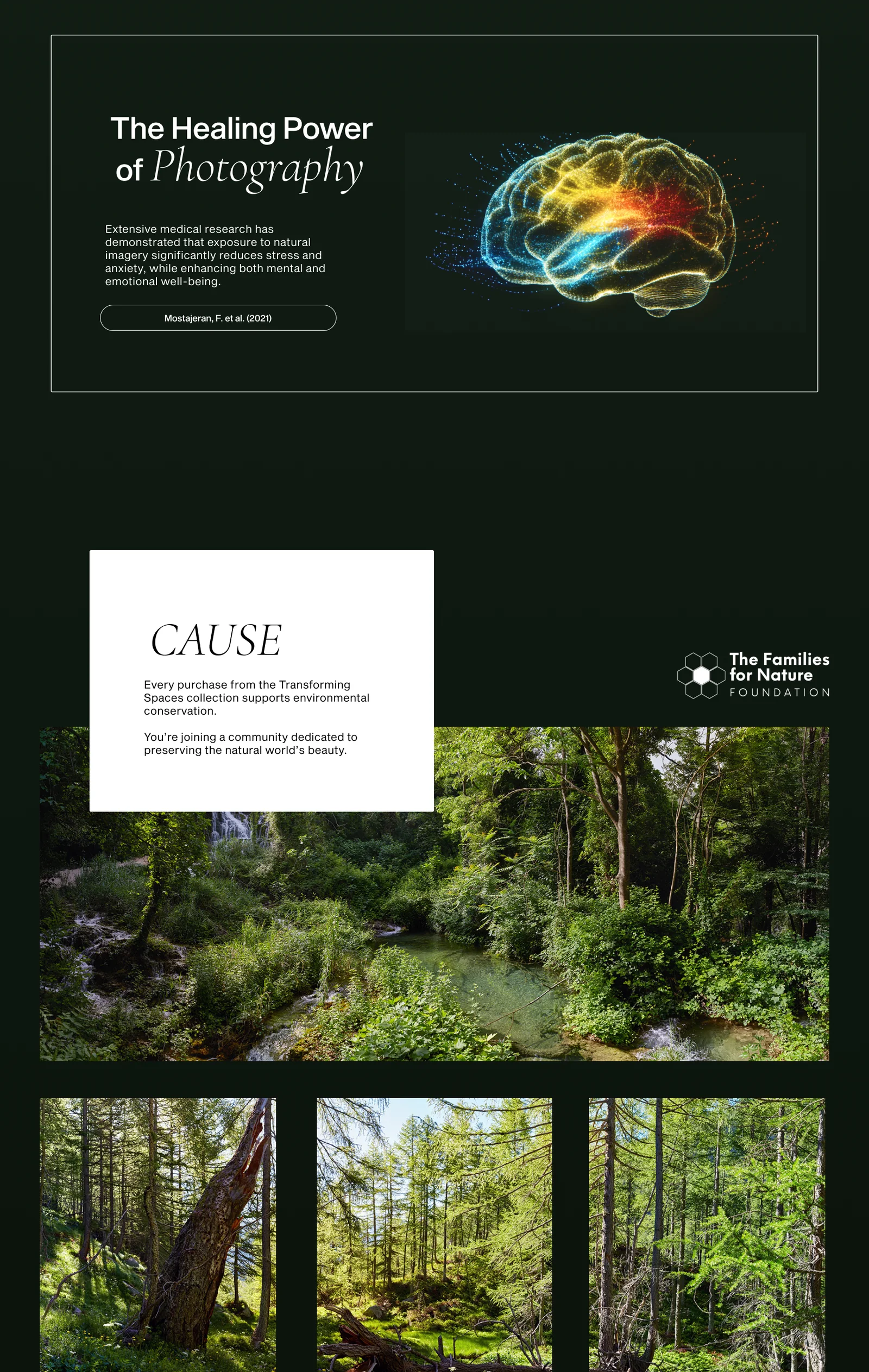 A design frame of the home page, middle part, on dark green: an outlined panel with the heading The Healing Power of Photography and a brain in many colours, a white card that reads Cause over a photograph of a river in green forest, and three upright forest photographs in a row.