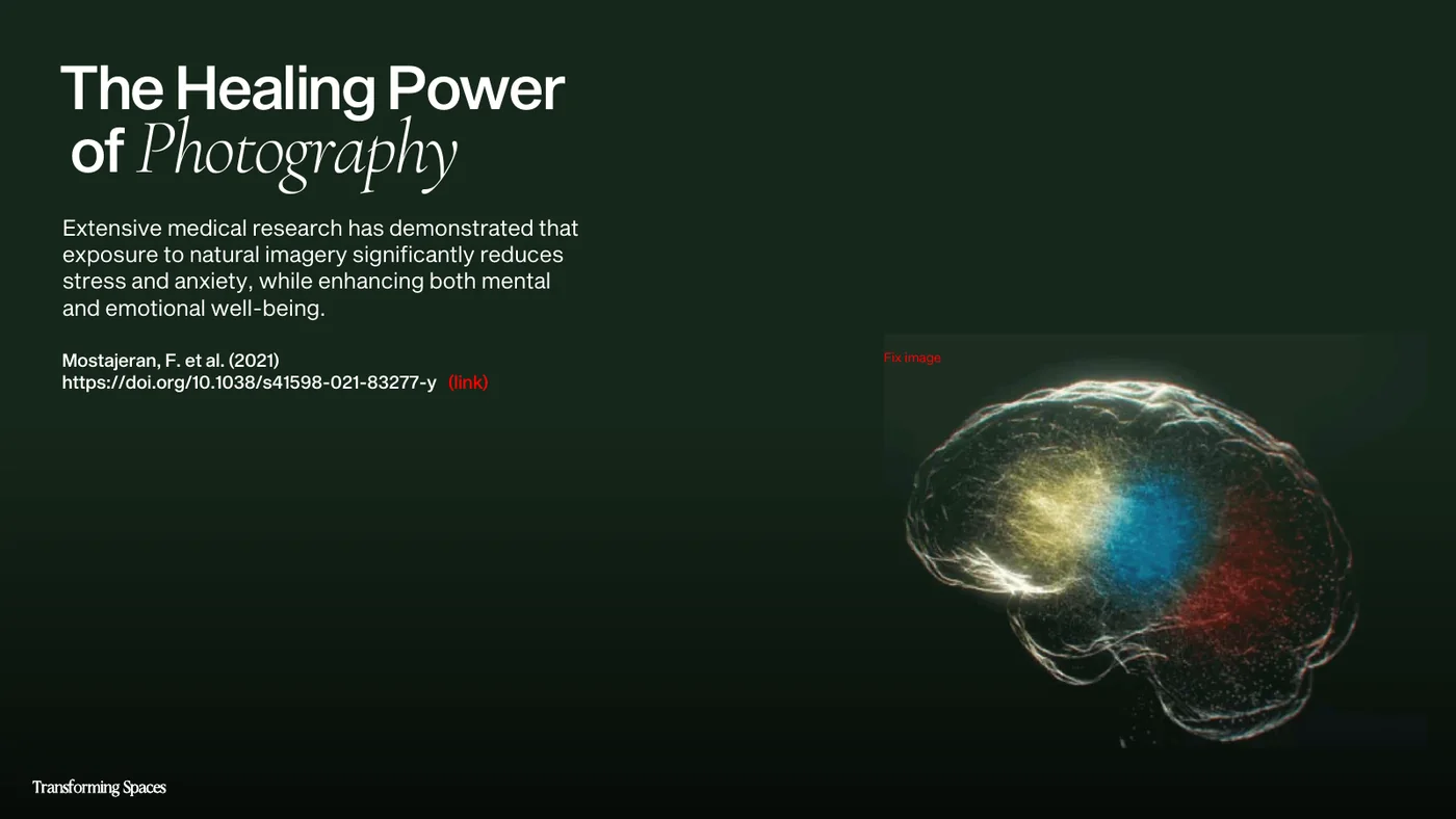 The same page in the file named 2V: a dark green ground, the heading at the top left with the last word in serif italics, smaller text and the glowing brain at the bottom right.