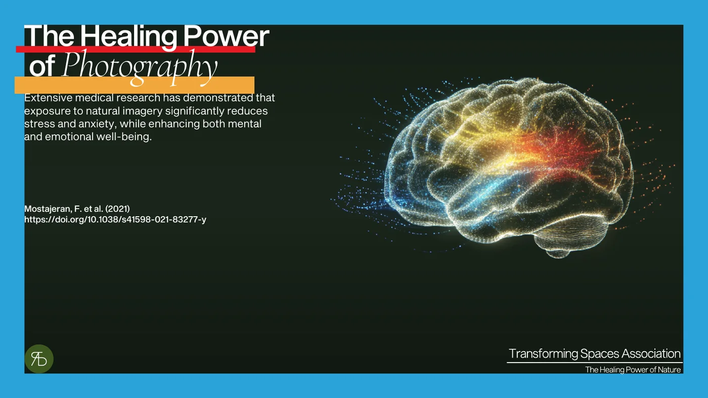 The same page in the file named 6V, with a bright blue frame around it and red and orange bars laid over the heading. The brain is a new picture in many colours, and the logo stands at the bottom right.