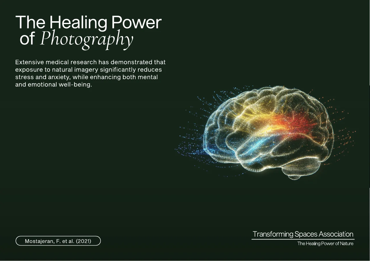 The same page in the final A4 deck: the heading, the text, the brain in many colours, the source in a small outlined pill at the bottom left and the logo at the bottom right.