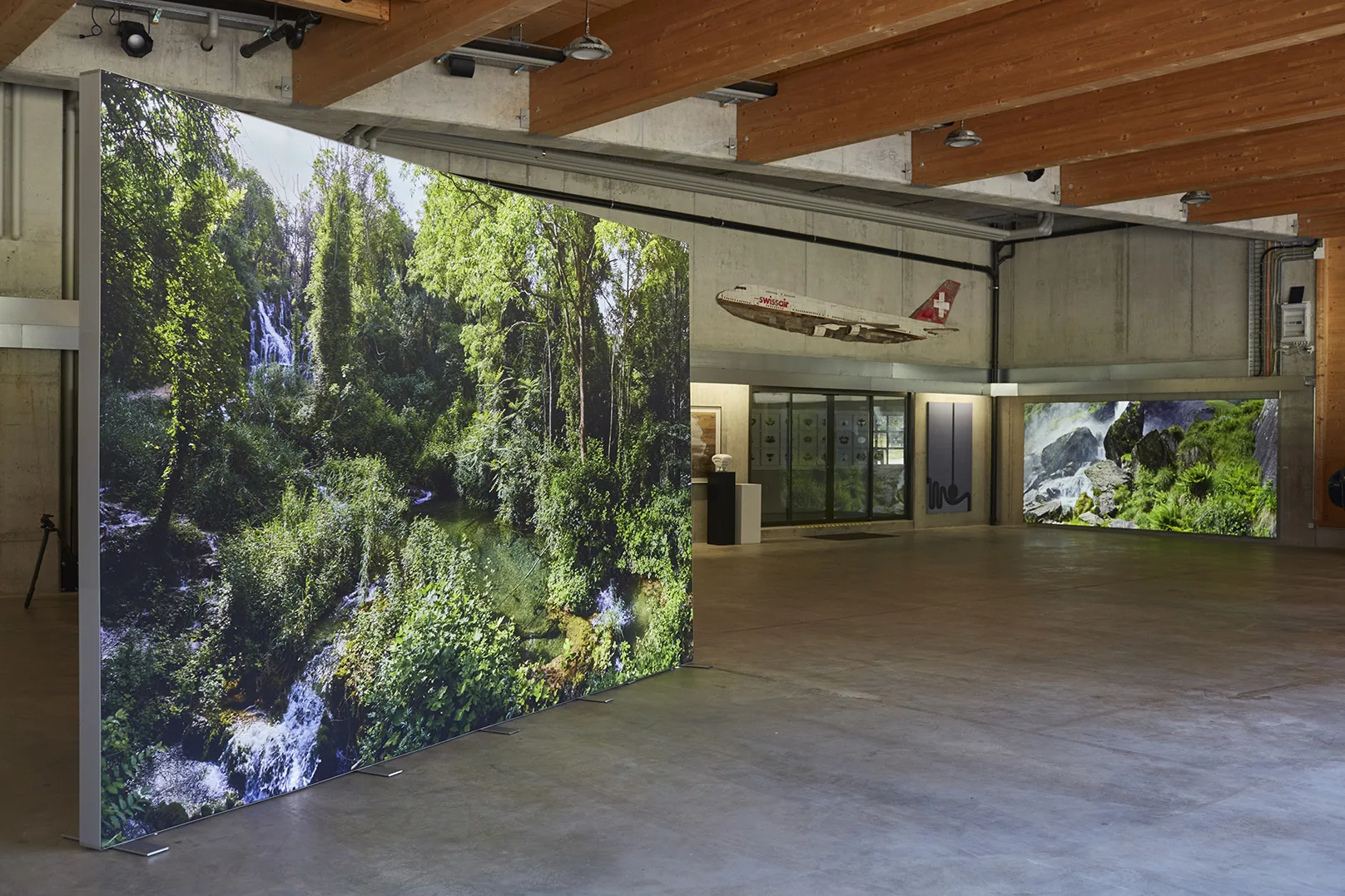 Two wall sized forest photographs standing in a large hall with a timber roof. A model aeroplane hangs from the ceiling between them and doors at the far end look small beside the panels.