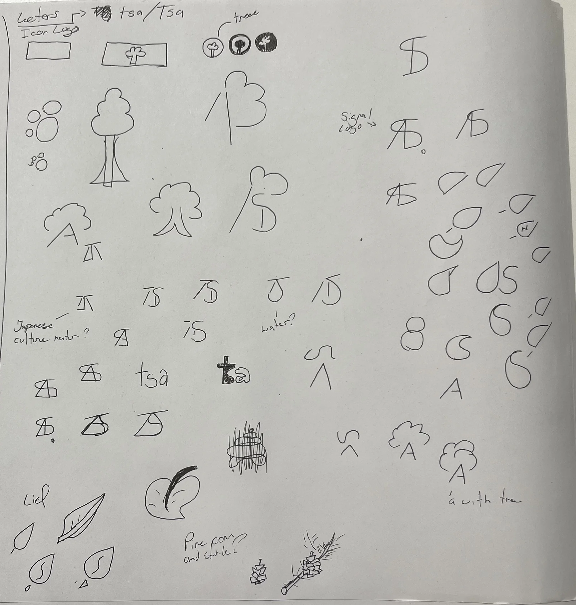 The right part of the sheet: pencil sketches for the icon. Trees with round crowns, a letter A under a tree crown, leaves, drops, a pine cone and a twig, the letters tsa, and many versions of a monogram made of a slanted stroke, an upright and a half round. Small notes read Signal Logo, Japanese culture, water, tree and a with tree.