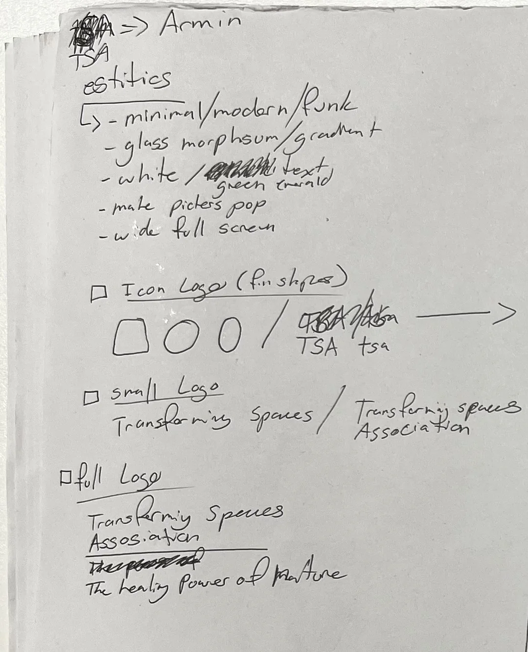 The left column of the sheet. It reads estitics, minimal, modern, glass morphsum, gradient, white, green emerald, make pictures pop, wide full screen. Under it three check boxes: Icon Logo with three small outlined shapes and the letters TSA and tsa, small Logo with Transforming Spaces and Transforming Spaces Association, and full Logo with Transforming Spaces Association on a line and The healing Power of Nature under it.