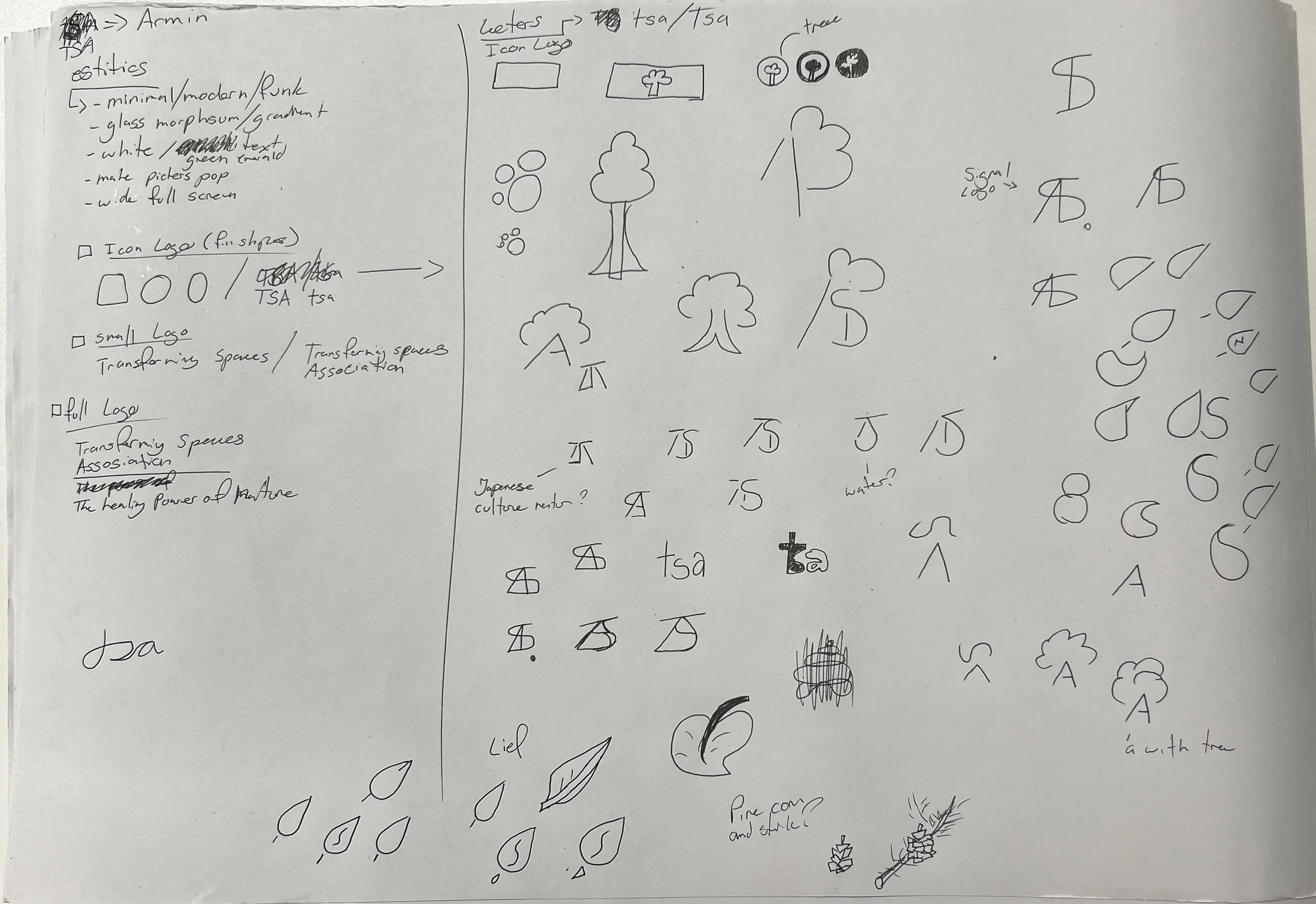 A sheet of paper with handwriting and pencil sketches. On the left a column of notes under the word estitics, among them glass morphsum, gradient, green emerald, make pictures pop and wide full screen, then three check boxes: Icon Logo, small Logo and full Logo with the words Transforming Spaces Association and The healing Power of Nature. On the right many small drawings: trees, leaves, drops, the letters tsa and several monograms built from a slanted stroke, an upright and a half round.