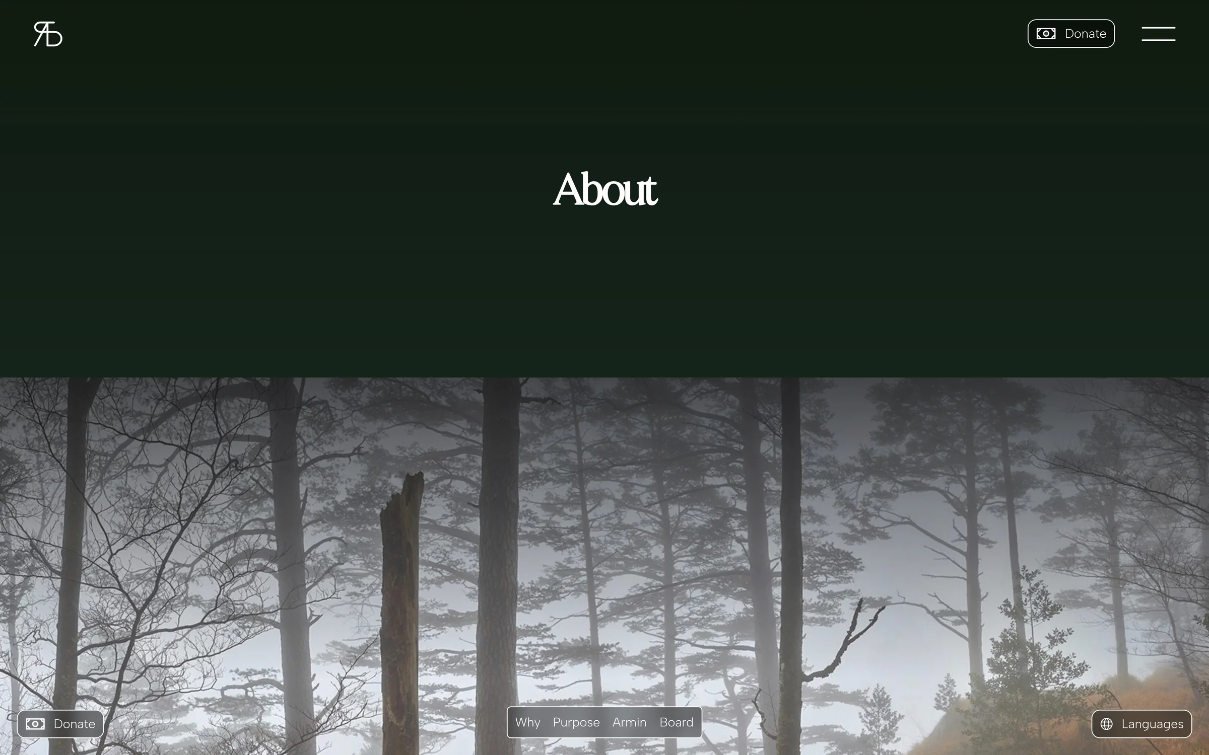 The top of the About page of the website: the heading About on dark green above a wide photograph of a misty pine forest, with a small row of section links over the picture.