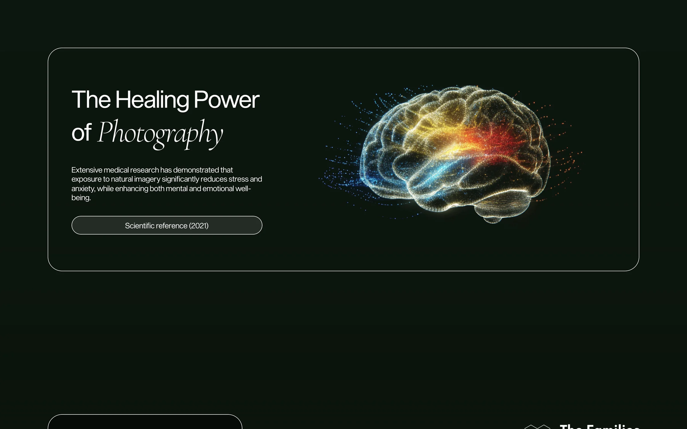 A panel of the home page on dark green with a thin outline: the heading The Healing Power of Photography, a short text, a pill shaped button that reads Scientific reference (2021) and a brain in many colours.