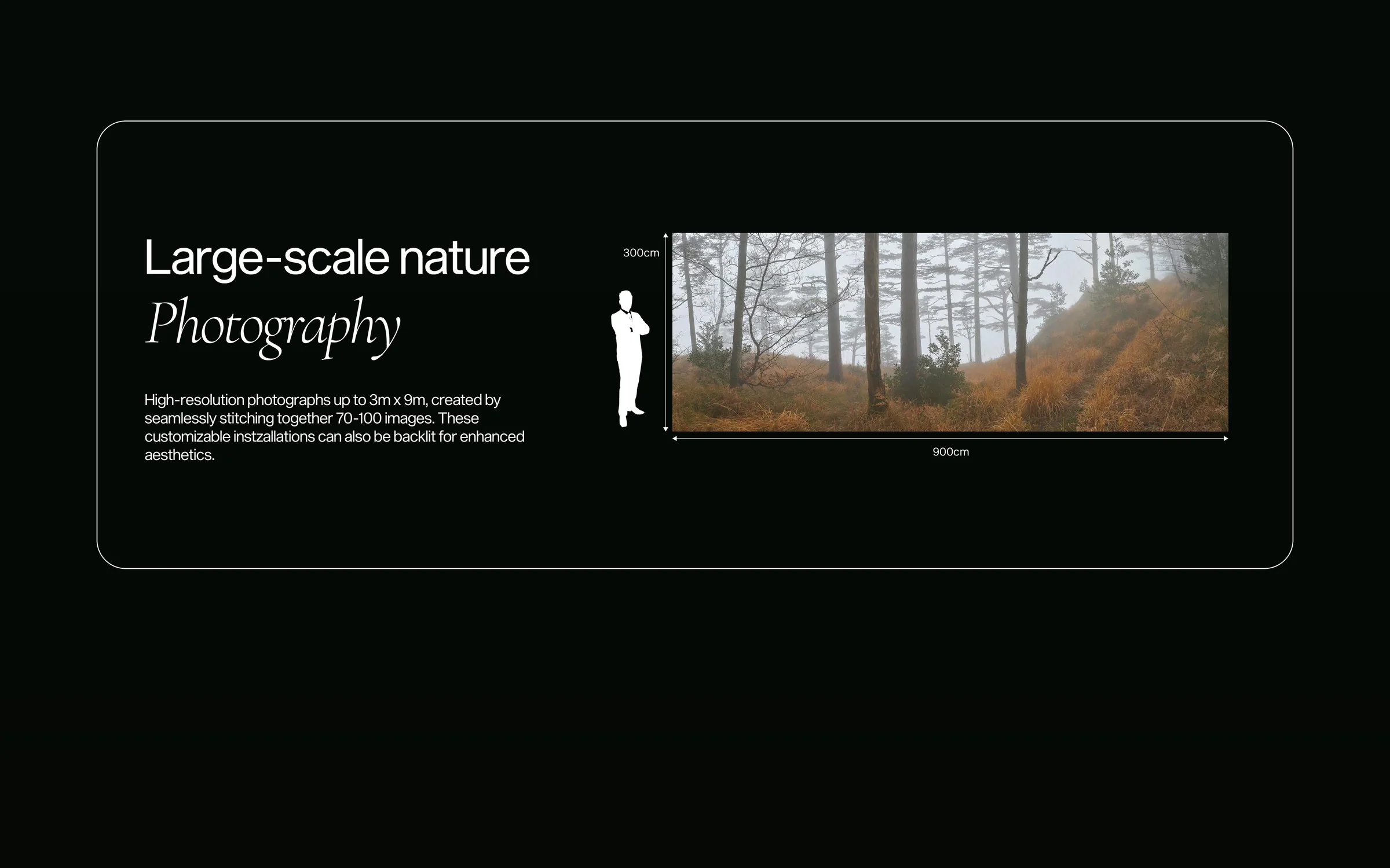 A panel of the website on a near black ground with the heading Large-scale nature Photography. Beside a short text a white silhouette of a standing person is drawn next to a forest panorama, with dimension lines marked 300cm and 900cm.