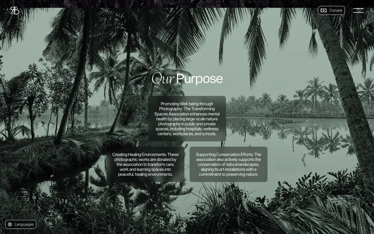 The section Our Purpose on a grey green photograph of palm trees at a lake. Three frosted panels hold short texts that begin Promoting Well-being through Photography, Creating Healing Environments and Supporting Conservation Efforts.