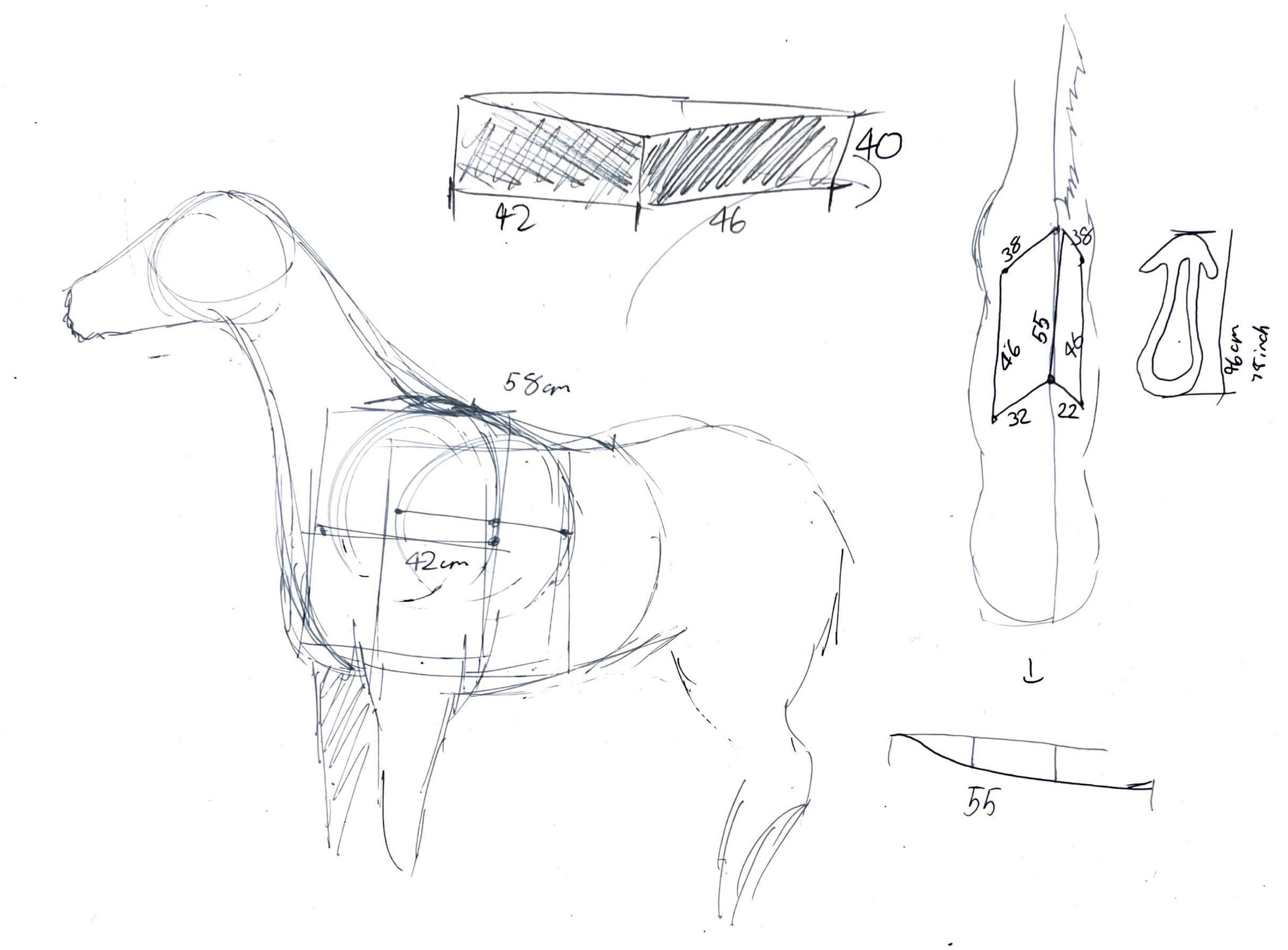 Pencil sketch of a horse with a box drawn on its back and measurements written beside it, plus small section sketches.