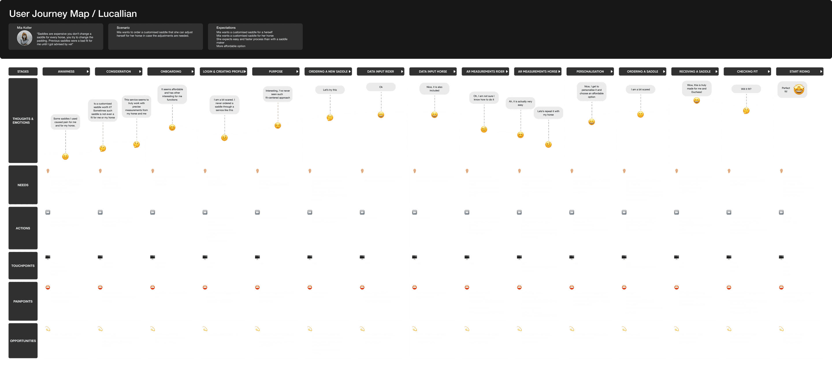 User Journey Map for Lucallian: a curve of thoughts and emotions across about fifteen stages, with rows for needs, actions, touchpoints, pain points and opportunities.