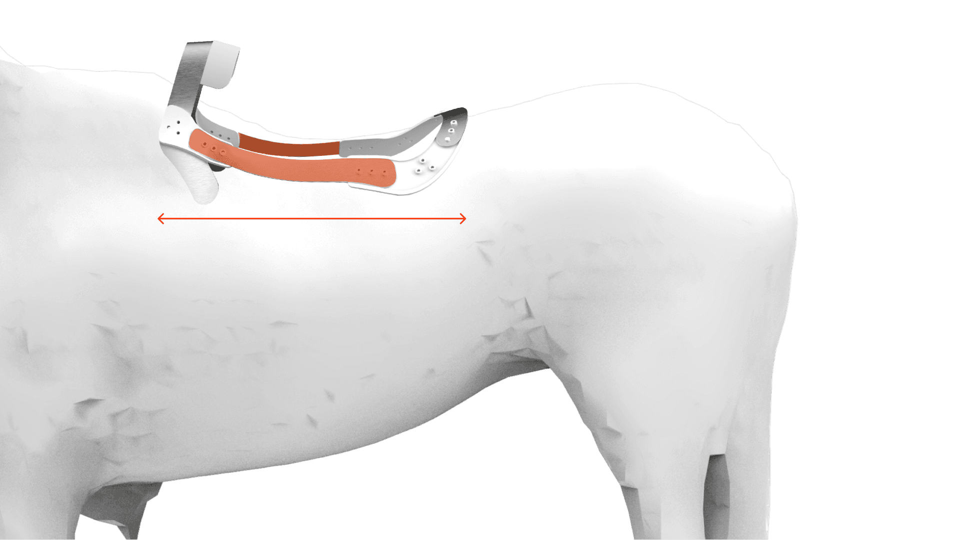 Diagram: the FlexTree on a white horse model with the side strut in orange and a horizontal arrow marking its length.