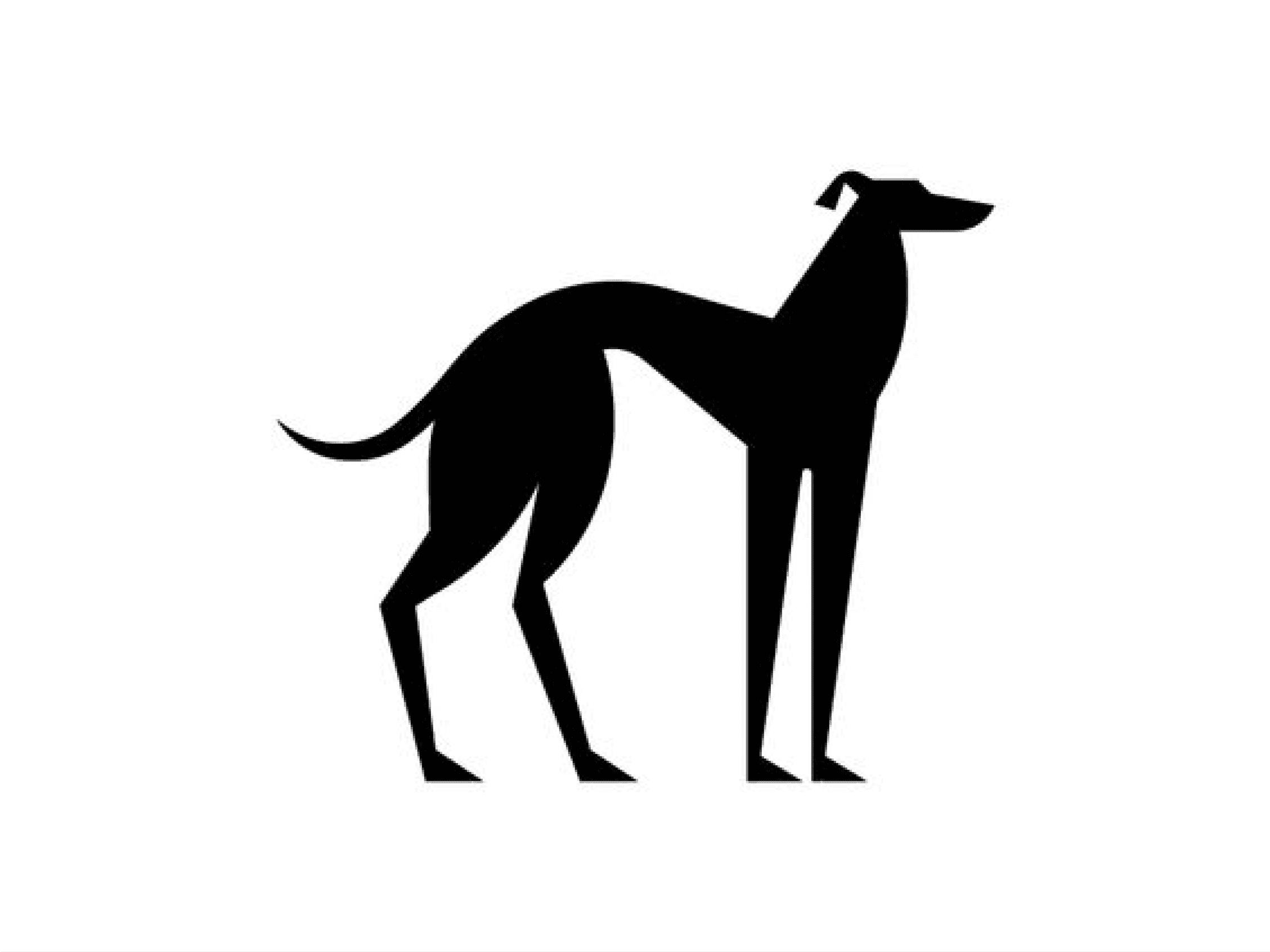 Moodboard reference: a black silhouette of a standing greyhound on white.