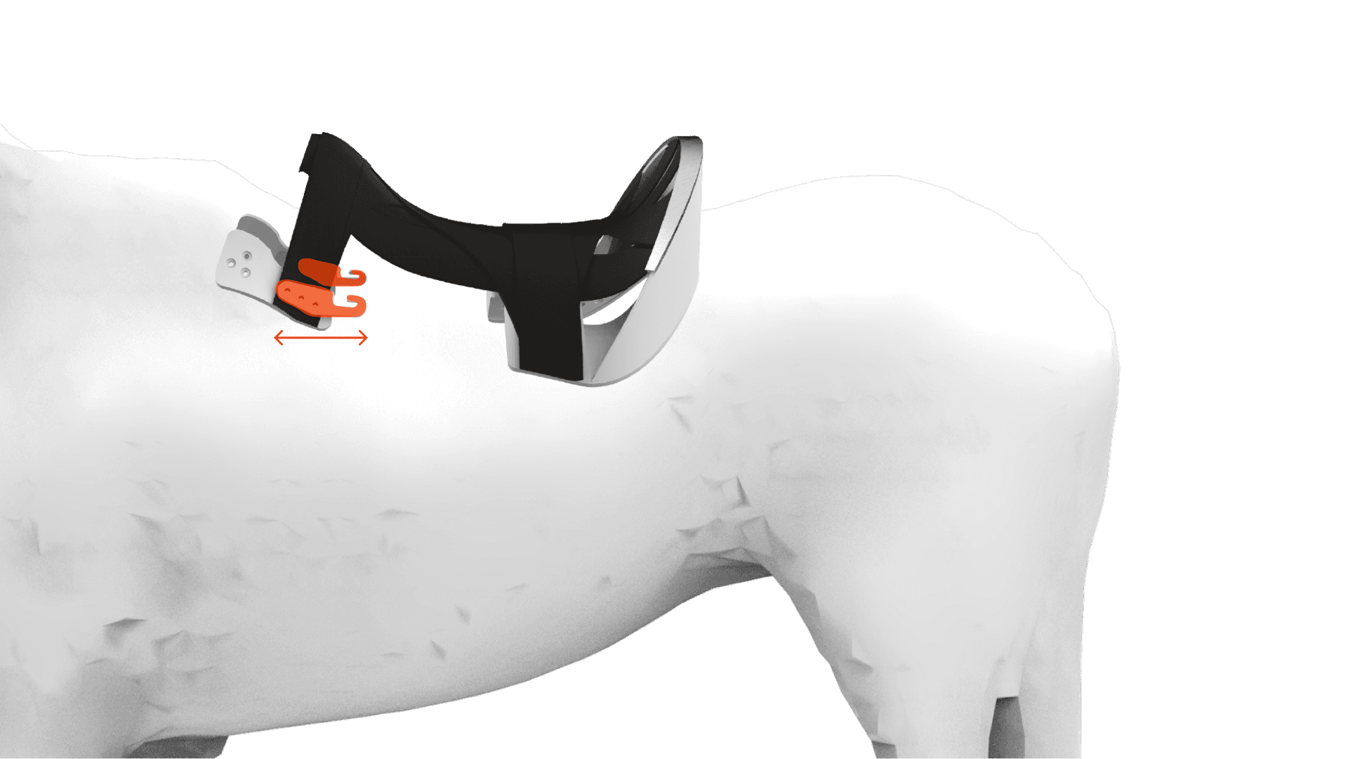 Diagram: the FlexBody in black on a white horse model, with an orange part at the front and a short arrow marking the change in length.