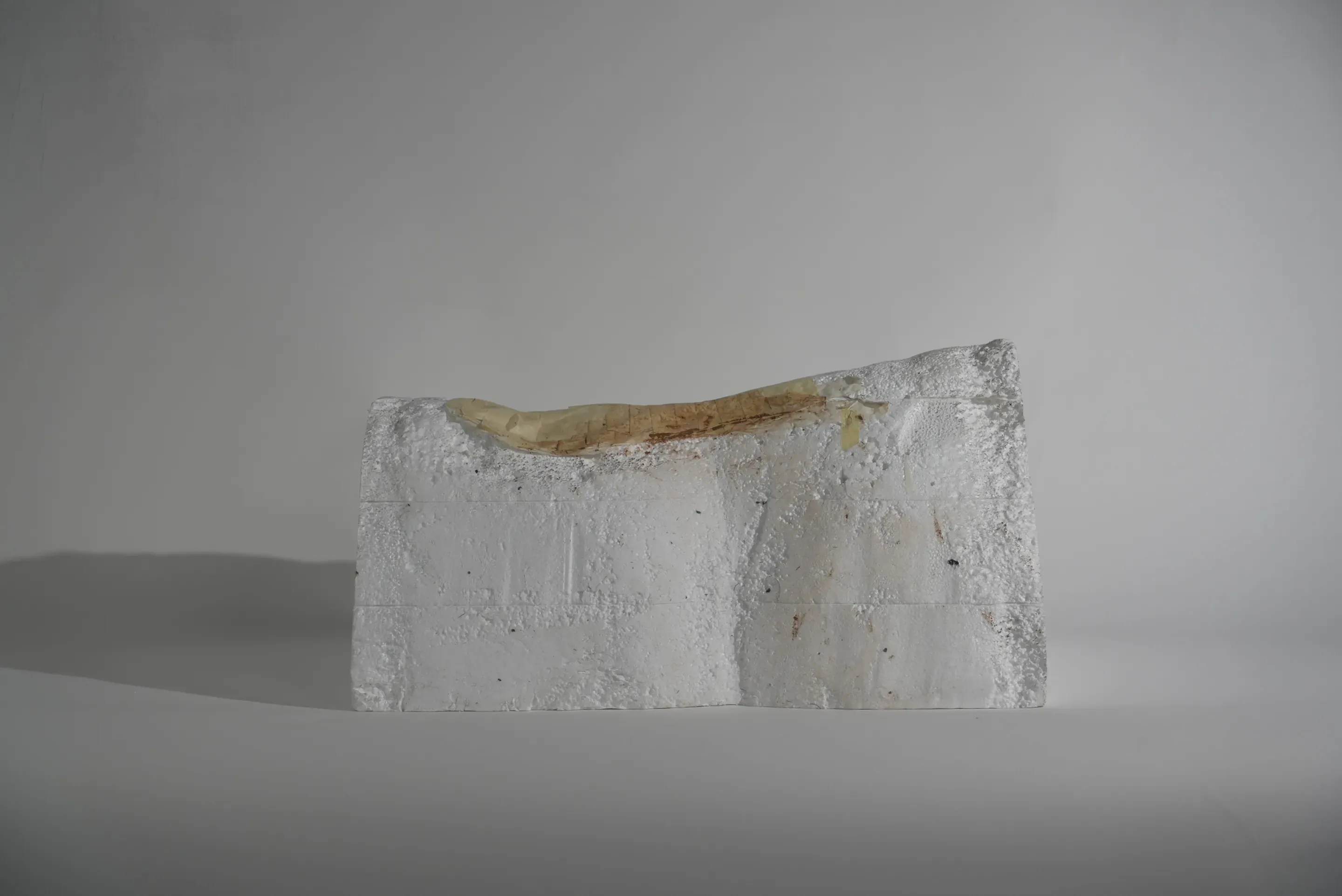 Prototype step: a thin tan shell lying on a white foam block shaped like a horse's back.