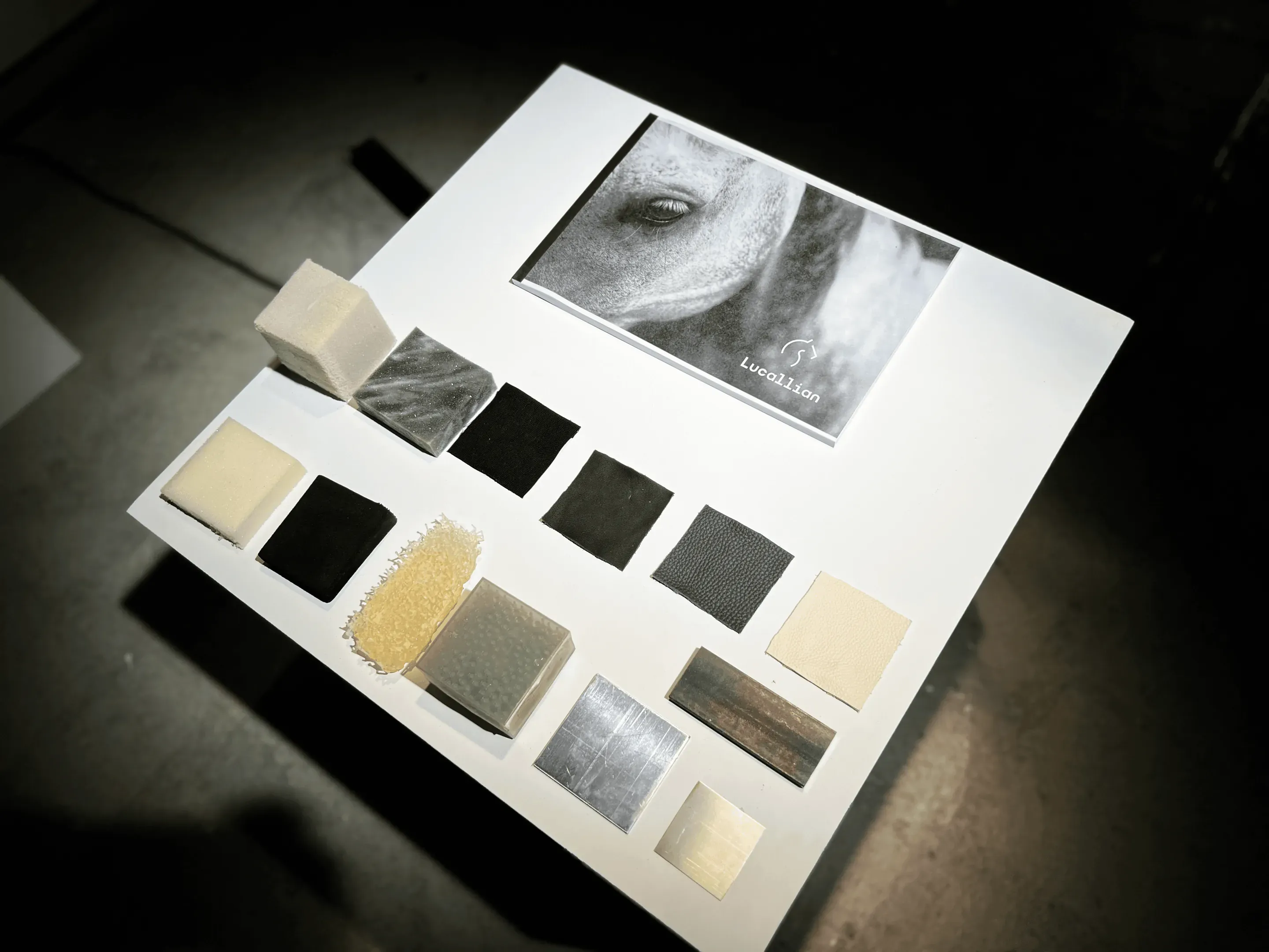 A white board with fourteen material samples in white, black, grey, metal and wood, and a card with a horse's eye and the Lucallian name.