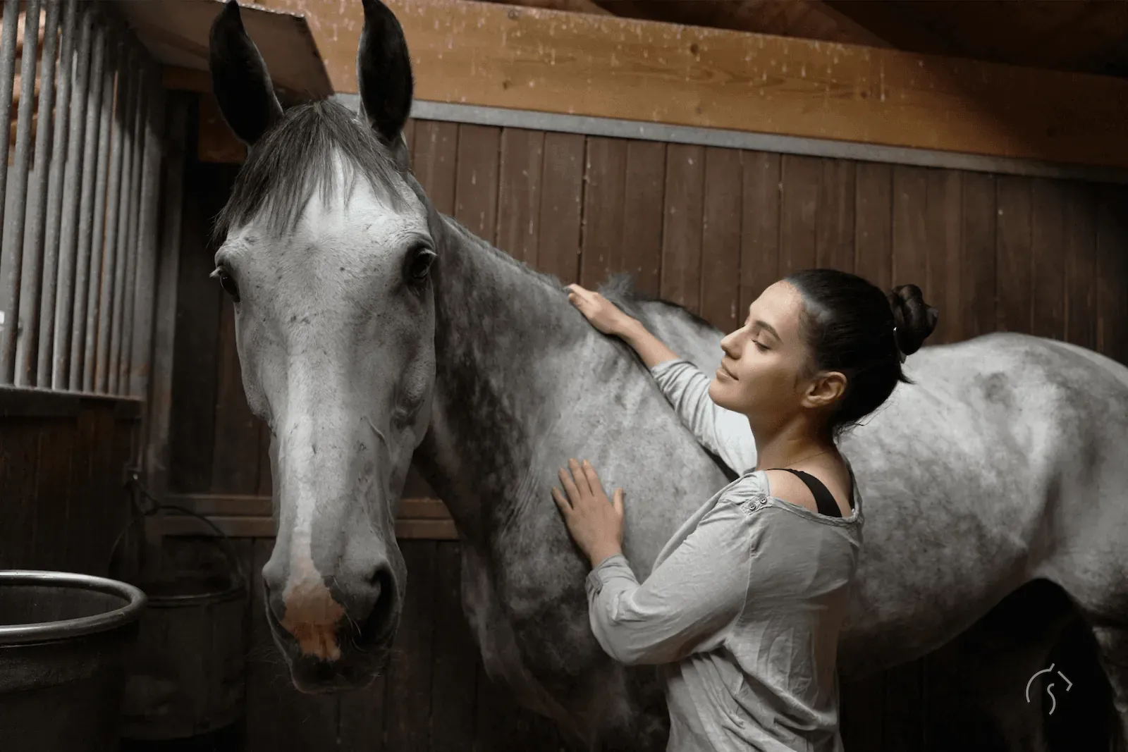 A woman rests her hands on the neck of a dapple grey horse inside a wooden stable. The Lucallian mark sits in the lower right corner.