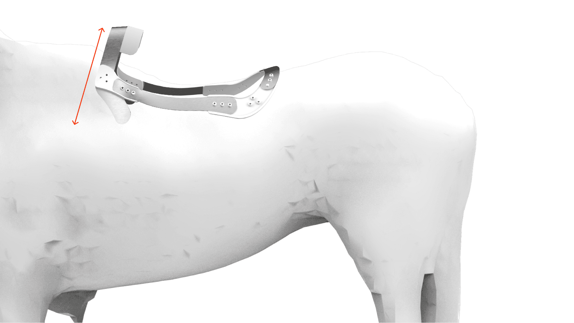 Diagram: the FlexTree on a white horse model, with an arrow along the gullet at the withers.