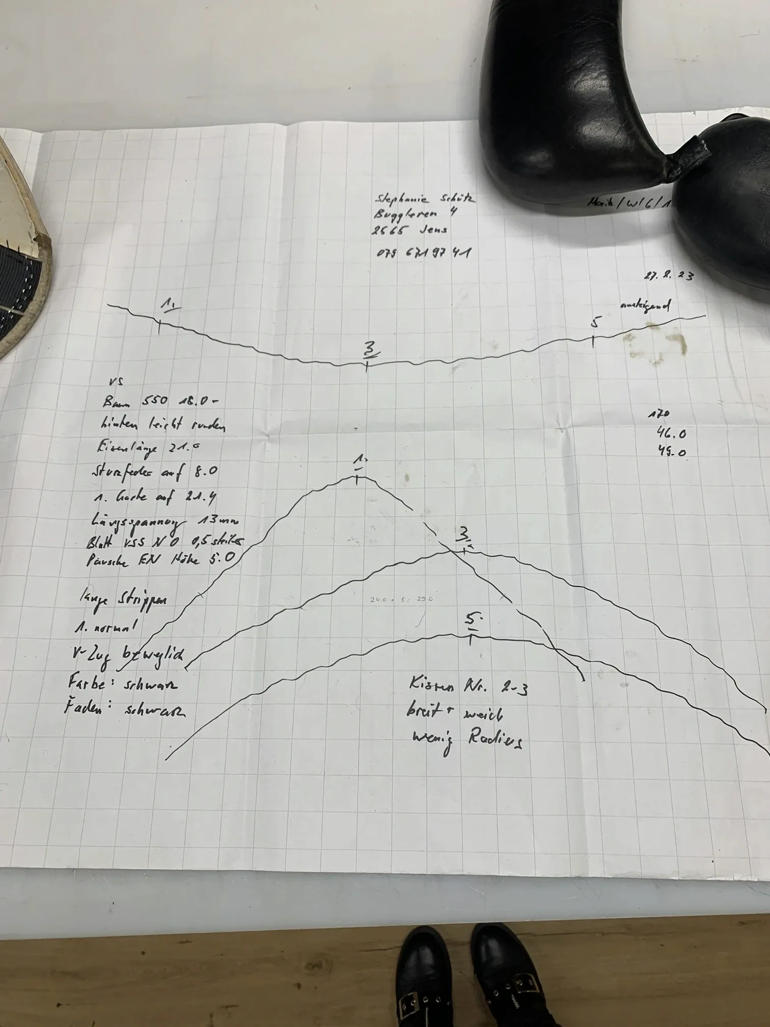 Handwritten notes and hand drawn curves of horse back profiles on grid paper, seen from above.