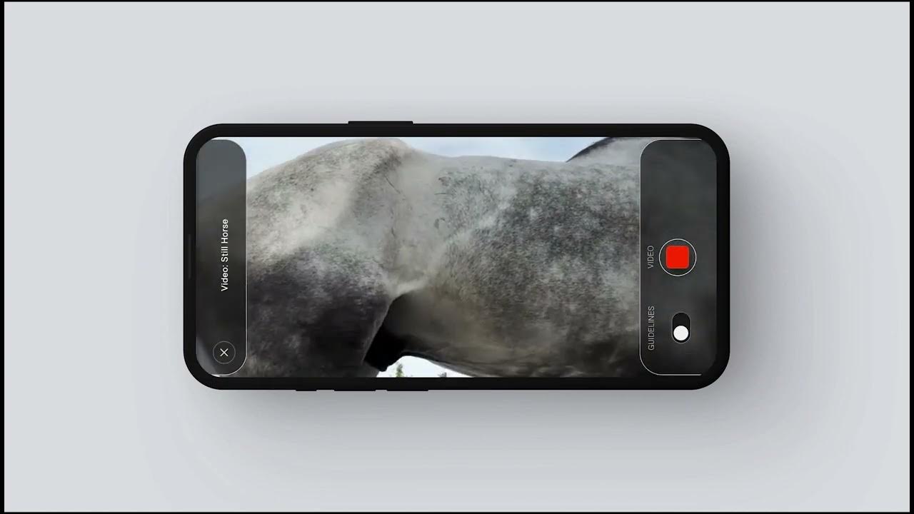 Film still: a phone held sideways records the back of a dapple grey horse, with a red record button.