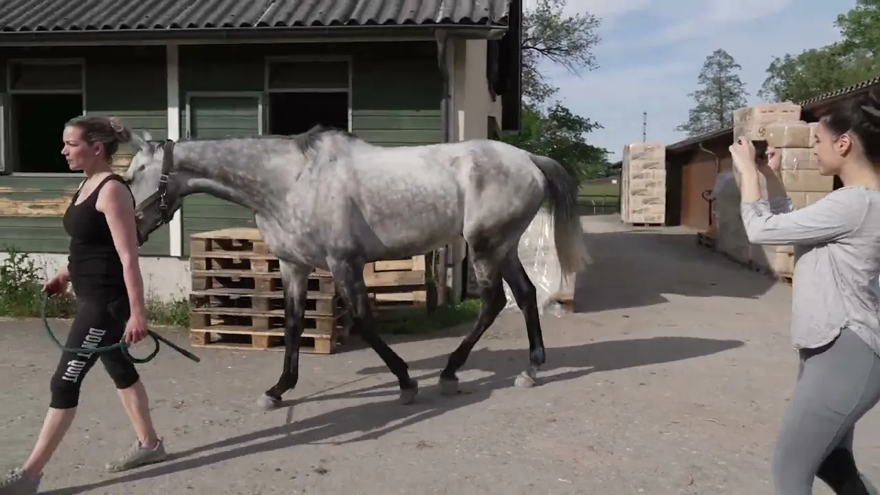 Film still: a woman leads a dapple grey horse past a stable while a second woman films it with a phone.