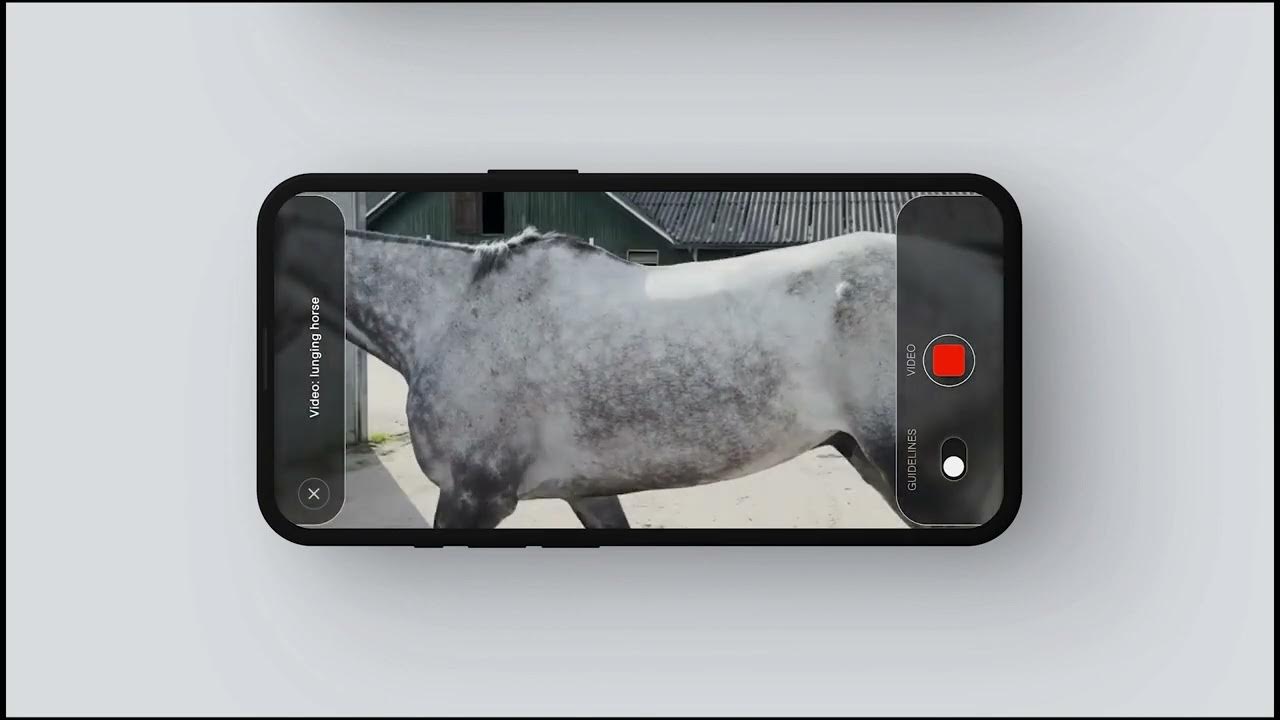 Film still: a phone held sideways records a dapple grey horse from the side, with a red record button.