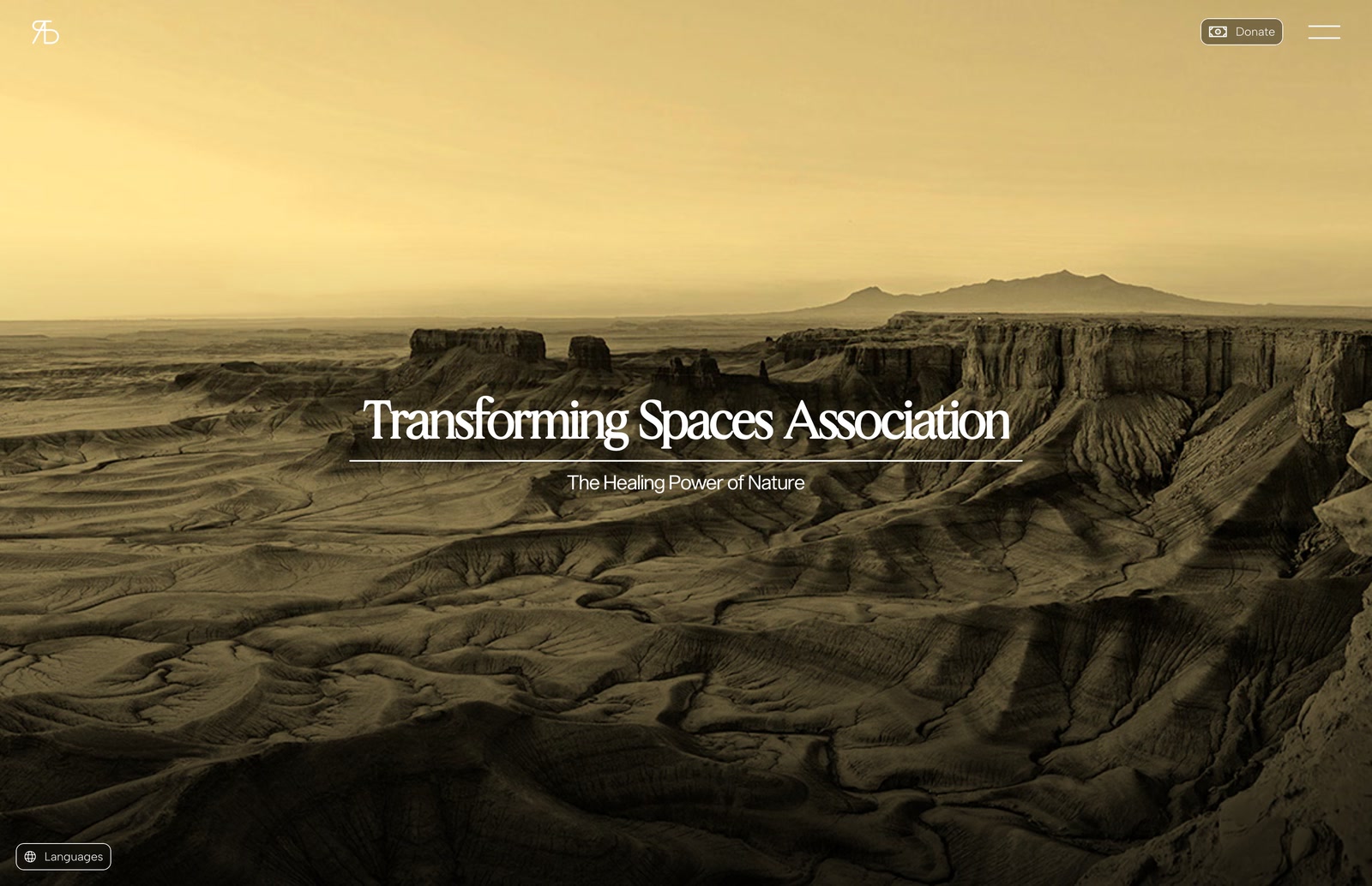 Still of the Transforming Spaces Association website: a sand coloured canyon panorama with the name Transforming Spaces Association on a thin rule, the line The Healing Power of Nature, a Donate button and a menu icon.