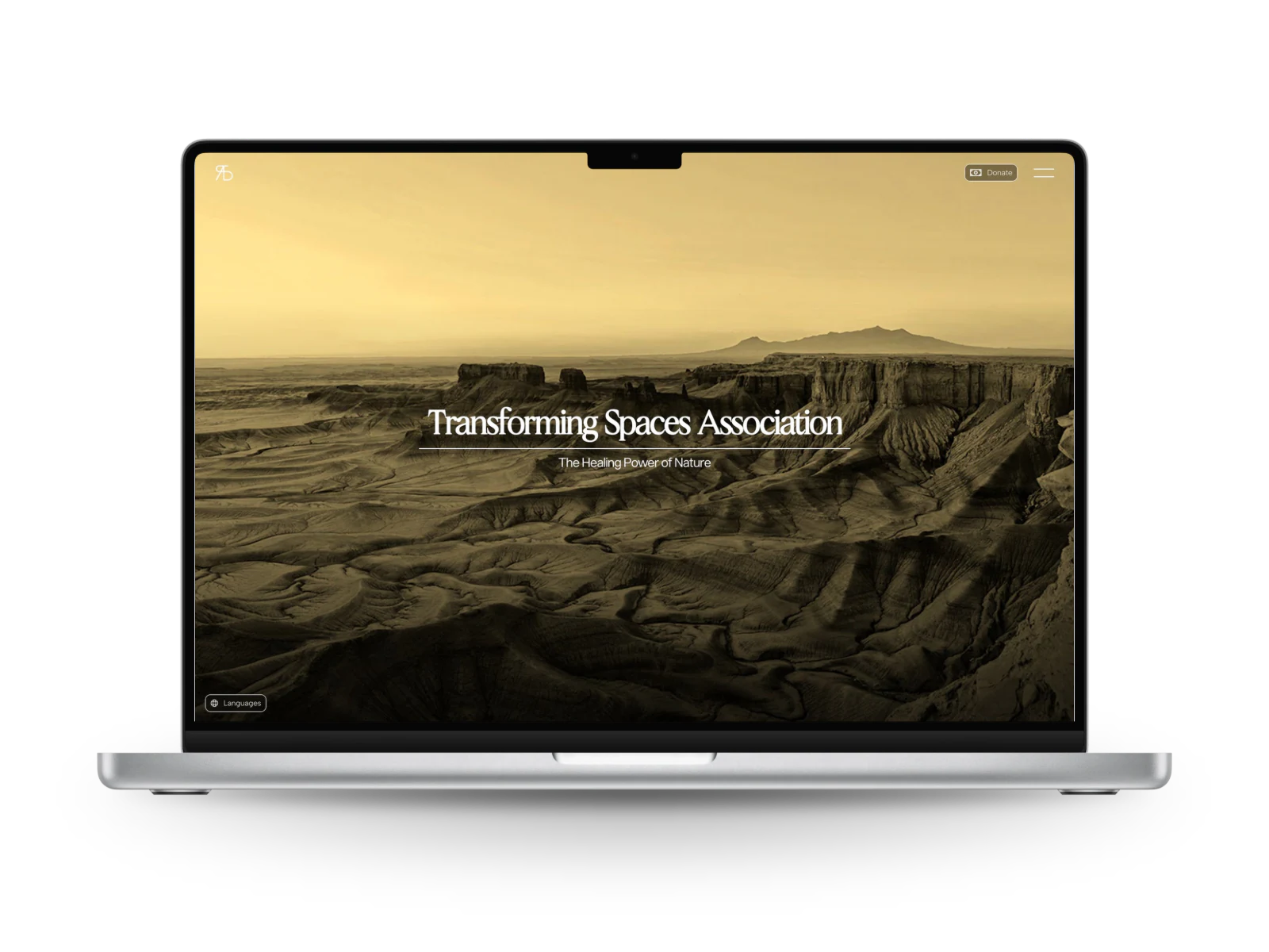 Transforming Spaces Association: the home page of the website on a laptop, a sand coloured canyon panorama with the name of the association.
